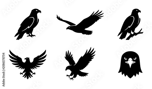 Bild auf Leinwand Eagle Silhouettes: Majestic Birds of Prey Vector Icons, Wildlife Graphics, and H