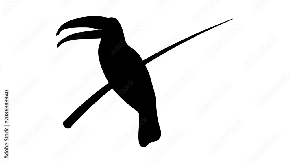 Fototapeta premium toucan bird, black isolated vector silhouette