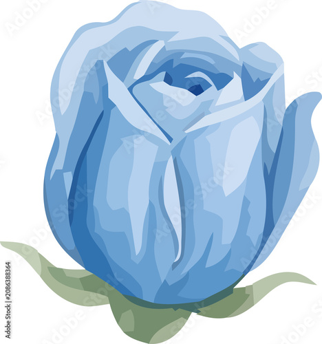 Soft Pastel Blue Rose Flower