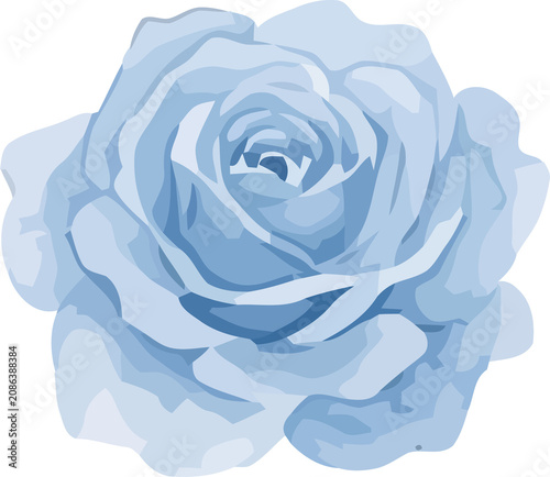 Watercolor Light Blue Rose Flower Illustration