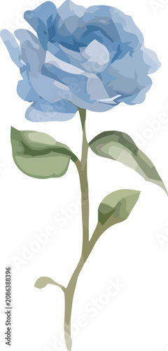 Elegant Watercolor Blue Rose with Green Leaves Illustration
