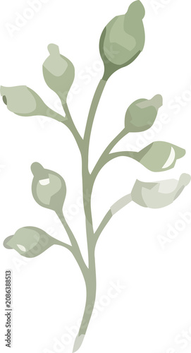 Watercolor Green Leaf Branch with Buds Illustration