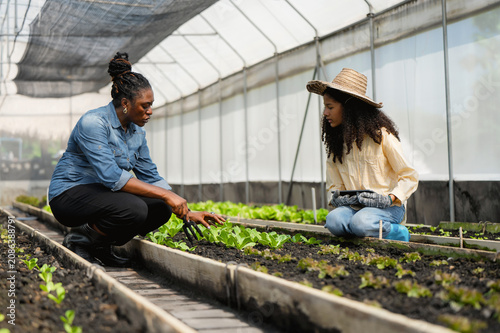 Mother teaching daughter gardening in greenhouse, Learn practical skills with mother while using modern technology in tablet step info smart farmer new generation
