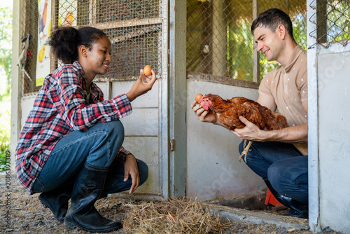 Young farmers collecting eggs on chicken farm, Farm education moment for young adults, Countryside organic farming activity. Learning of teenagers to rural chicken farming lifestyle scene.