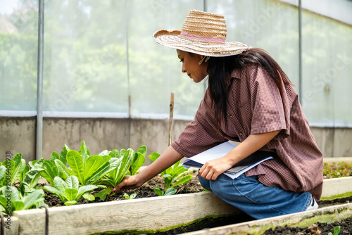 Woman planting organic lettuce in greenhouse garden and learning vegetable gardening hands-on in greenhouse, tending to organic greens in a raised bed garden with notebook planning