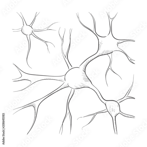 Obraz na płótnie Black and white of interconnected neurons with branching dendrites nerve cell br