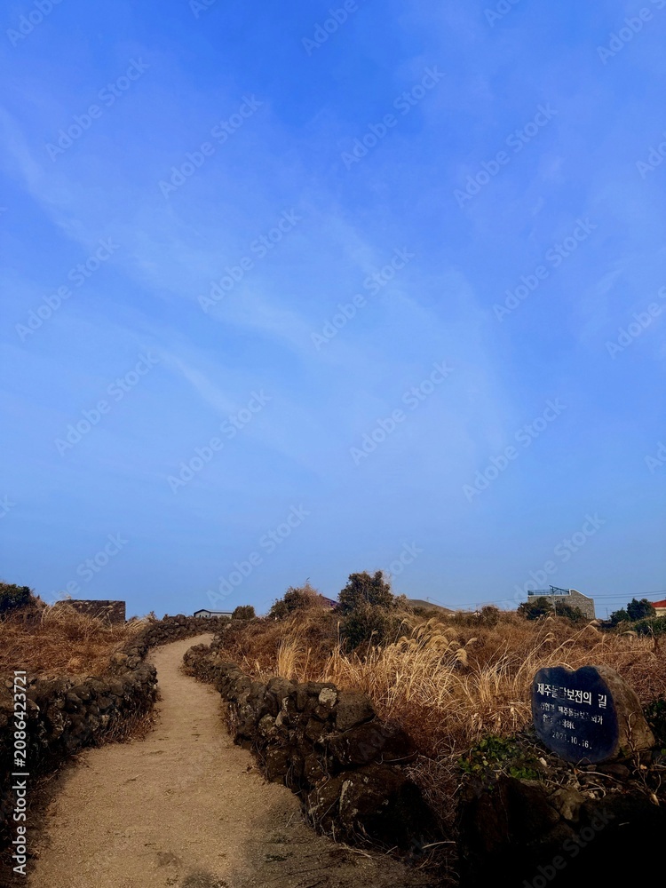 Obraz premium Traditional basalt stone wall pathway with dry grass under a clear blue sky on Jeju Island