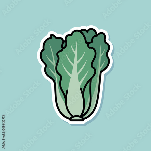 Green leafy vegetable illustration sticker.