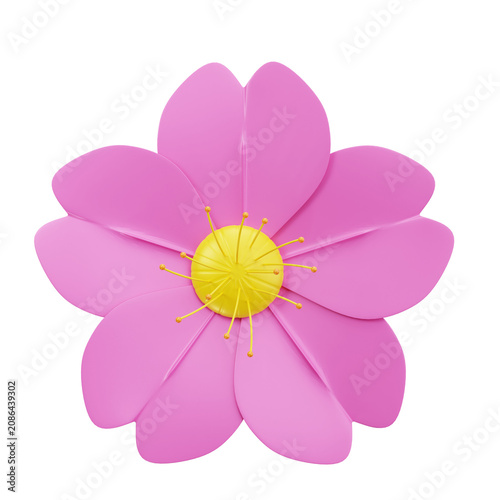 blossom flowers