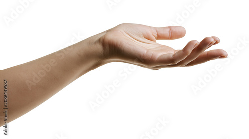 Open human hand palm up, reaching forward