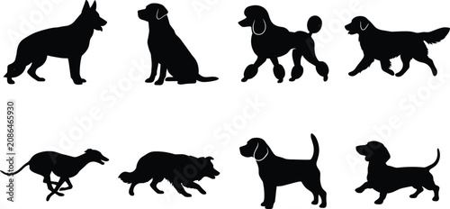Konstfotografi Collection of Various Purebred Dog Silhouettes Isolated on White Background for