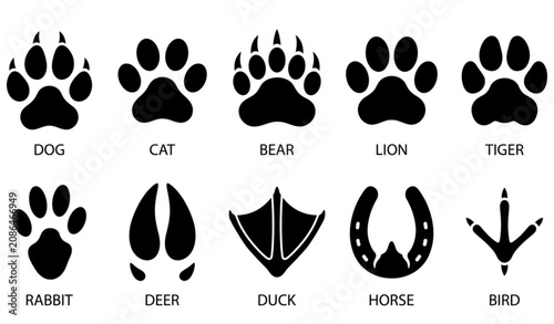 Animal Footprint Track Icon Collection