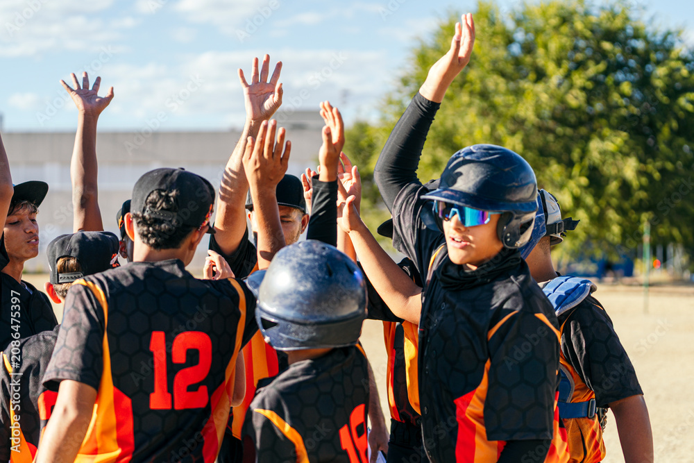 Obraz premium Youth baseball players celebrating victory and teamwork on the field. Young athletes showing spirit and unity during a game