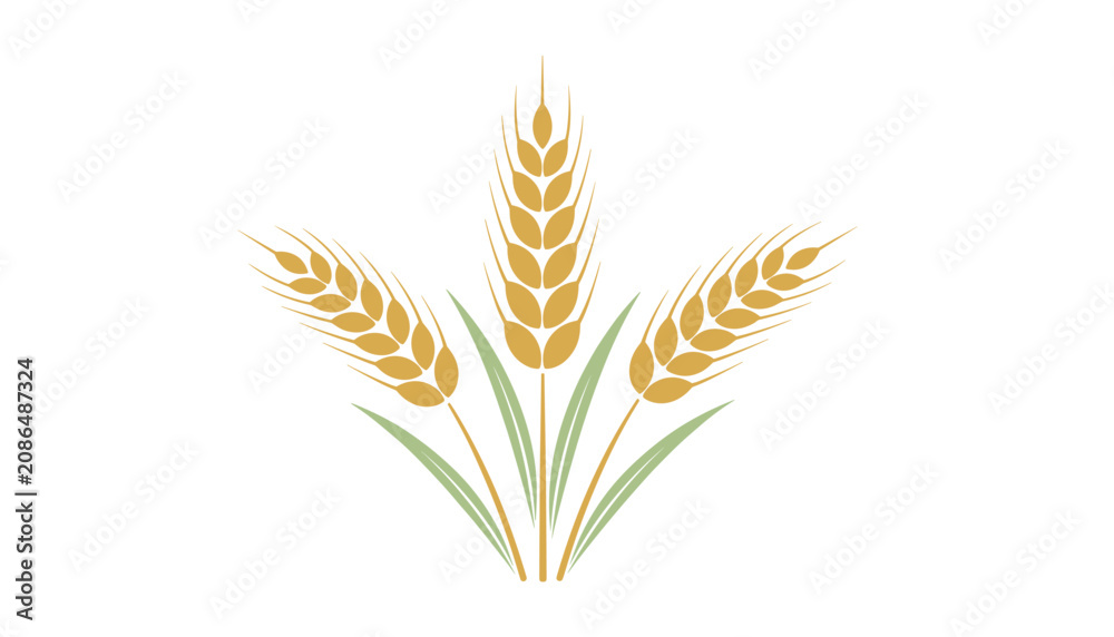 Fototapeta premium Stylized illustration of three golden ears of wheat with green leaves arranged in a symmetrical bundle on white background.