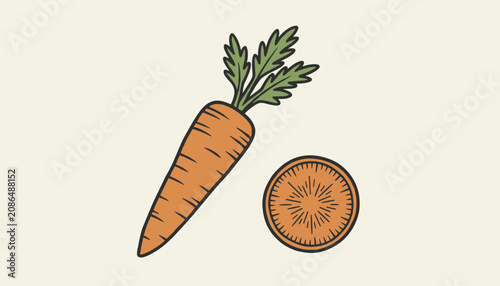 Obraz na płótnie Hand drawn illustration of a fresh whole orange carrot with green leaves next to a single slice on a cream background
