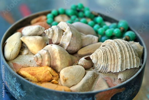Tableau sur toile Beautiful arrangement of seashells in a tray