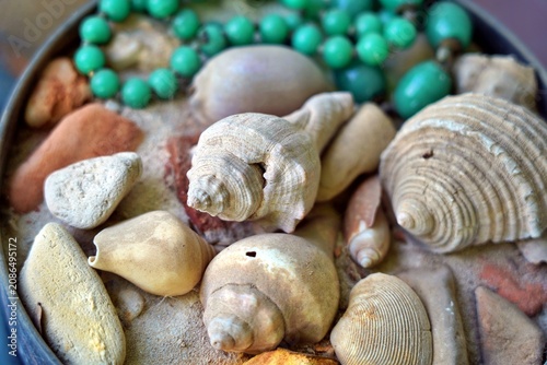 Foto Seashell garden arranged in a sand tray