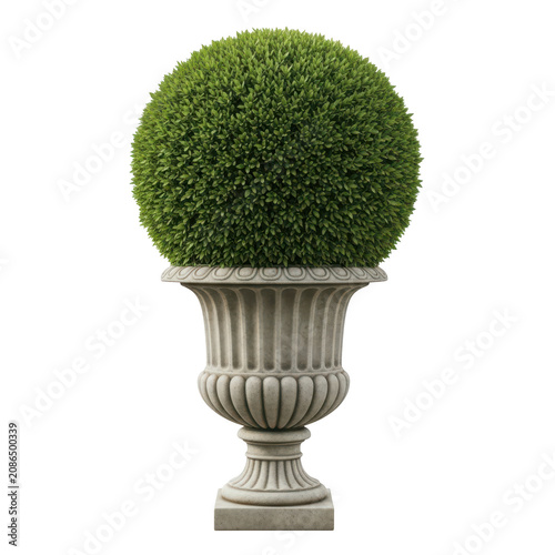 A perfectly manicured spherical boxwood shrub inside an elegant stone garden urn