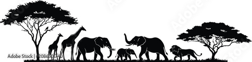 Photography Black silhouette herd of elephants walking in the savanna at dusk