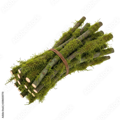 A Bundle Of Natural Wooden Sticks Wrapped With Green Moss On White