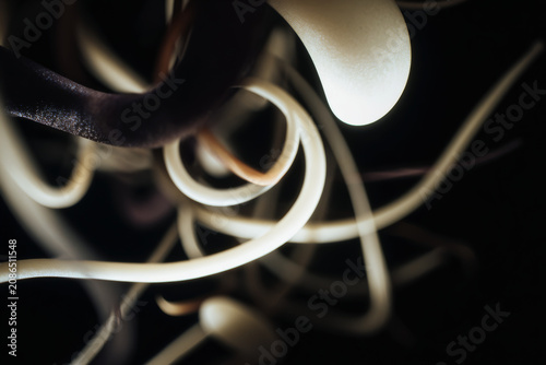 Abstract swirling organic shapes with dark and light contrasting colors on a black background.