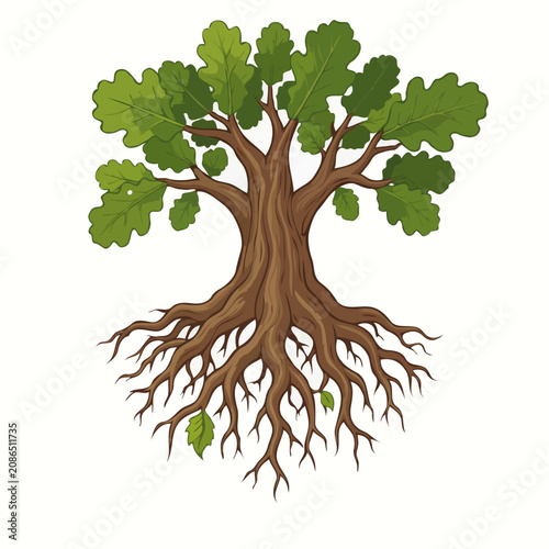 tree isolated on white background