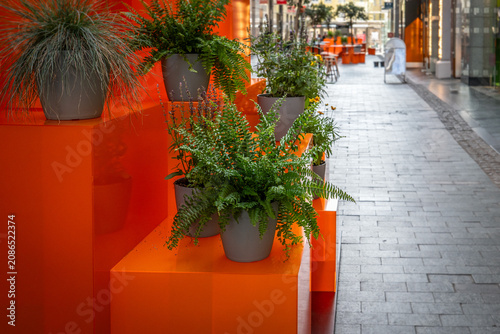 Canvastavla Modern Urban Walkway Decorated With Lush Green Potted Plants and Bright Orange P