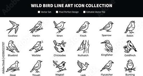 Fotografía Wild Bird Line Art Icon Collection with Flying and Perching Avian Symbols for Na