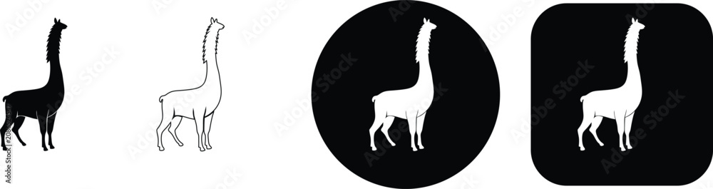 Fototapeta premium Four variations of a llama animal featuring solid black, thin line, and white silhouettes on circular and square bases