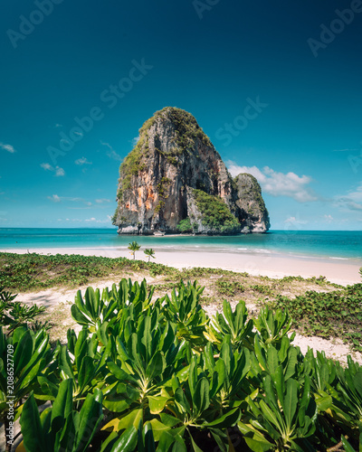 Quadro su tela Lush Green Foliage on a Tropical Beach with a Limestone Karst in Krabi