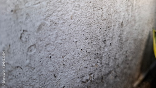Macro Texture of Speckled Grey Plaster Cement Wall