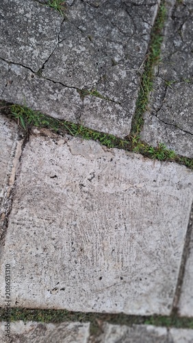 Grey stone pavers with moss in the joints
