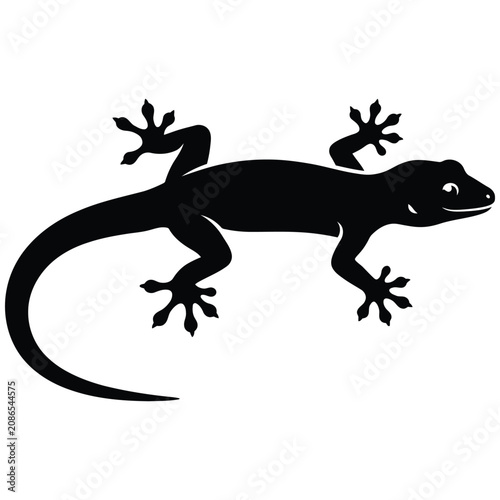 Slika na platnu Silhouette of a lizard with webbed feet on white background