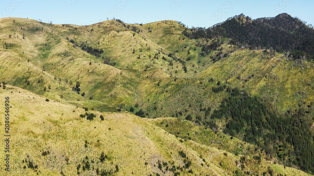 Fototapeta premium Panoramic view of rolling green hills and mountain slopes under a clear blue sky, featuring a landscape of grassy ridges and patches of forest in a natural mountainous terrain.