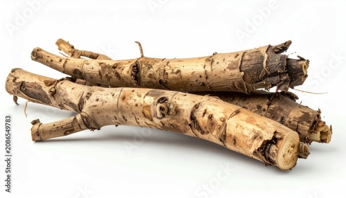 Rough Tan Woody Roots Arranged on Clean White Studio Background
