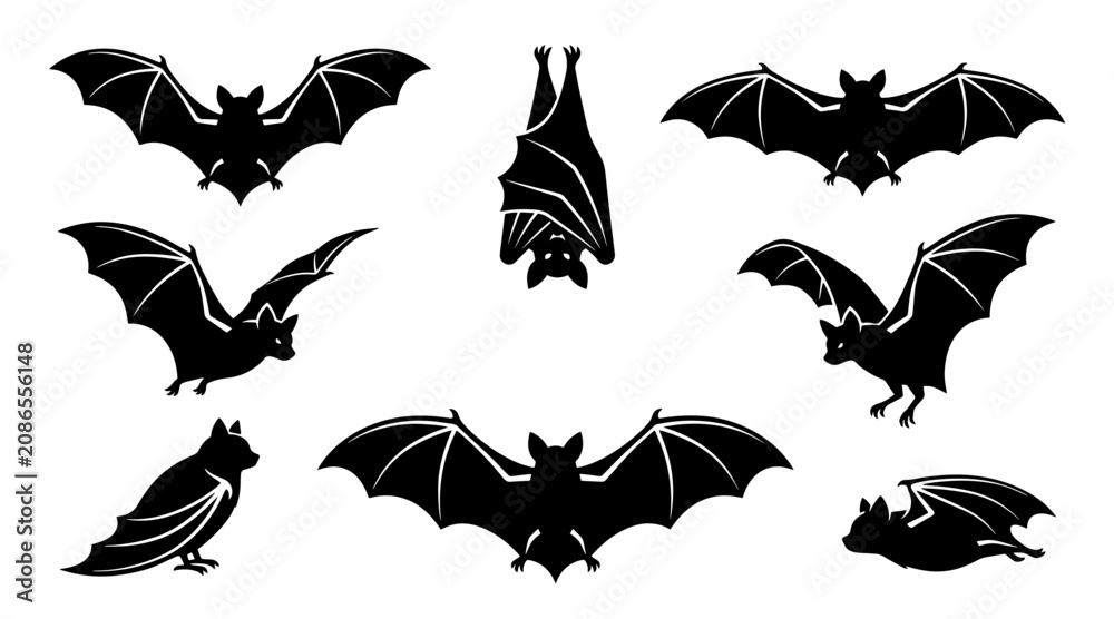 Fototapeta premium Collection of black bat silhouettes in various flying and hanging poses on a clean white background