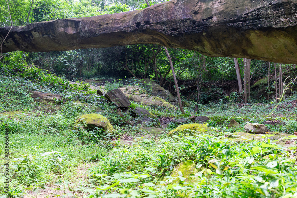 Fototapeta premium Looking under a large horizontal rock formation towards a mossy forest clearing with lush green plants.