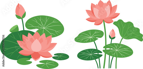 Fotografía Beautiful pink lotus flowers with green water lily pads buds and seed pods set,