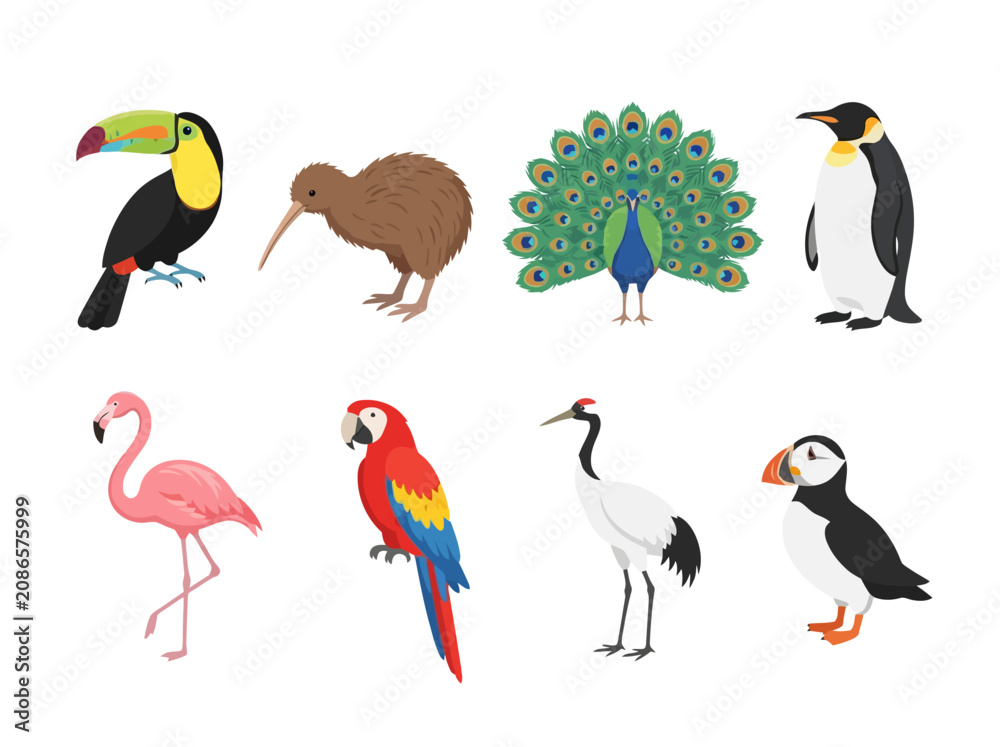 Fototapeta premium A collection of various colorful bird species illustrated in a flat vector style.