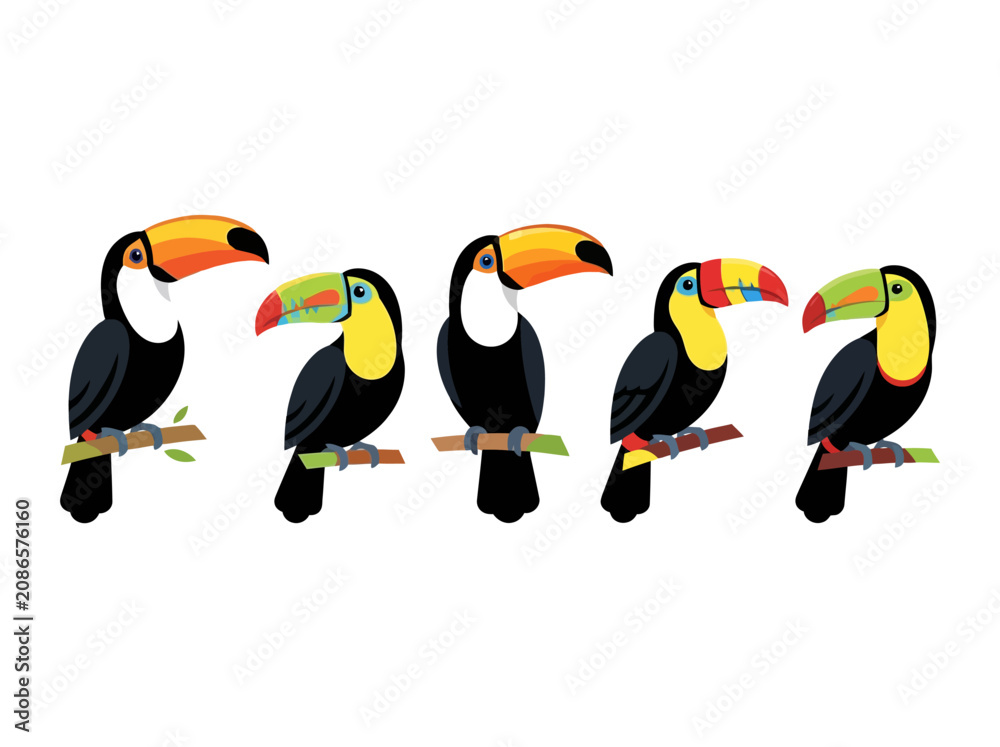 Fototapeta premium A collection of five colorful toucan birds perched on wooden branches against a white background.