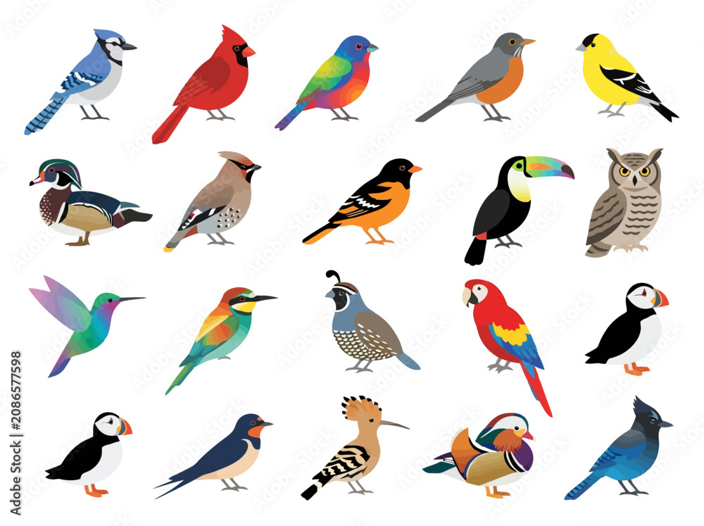Fototapeta premium A collection of diverse colorful bird species illustrated in a flat vector style.