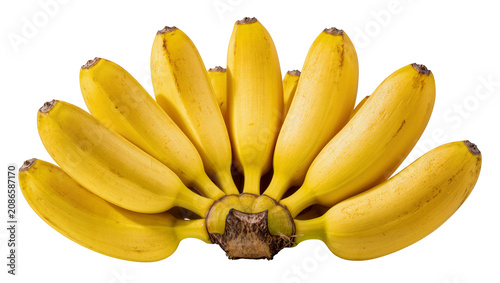 Bild auf Leinwand Bunch of ripe yellow bananas with brown stem