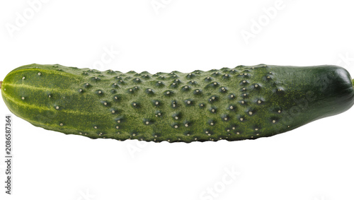 Fotografie Green bumpy cucumber with yellow stripes