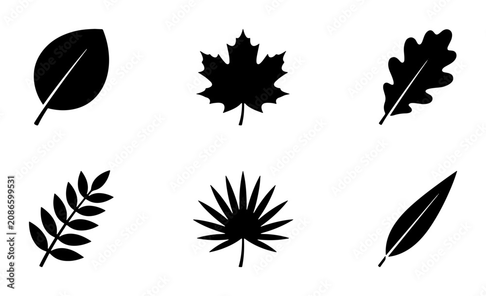 Fototapeta premium Black Leaf Icons Set, Botanical Vector Graphics, Nature Elements Collection, Autumn Fall Foliage Silhouettes