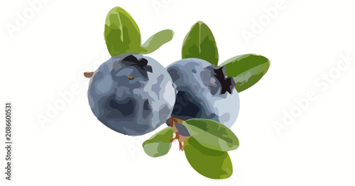 Fotografija A vibrant digital illustration of blueberries and leaves on a stem