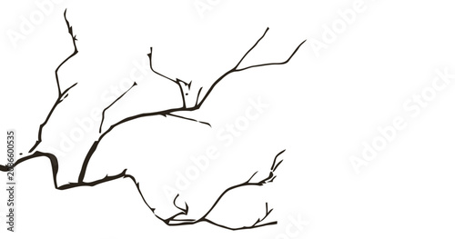 Canvas-taulu A detailed illustration of bare tree branches against a white background