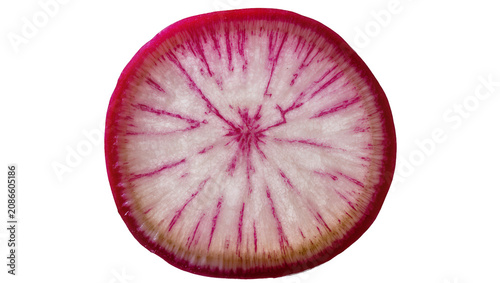 Round slice of radish with pink veins and white flesh
