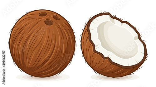 Foto An illustration of a whole coconut and a halved coconut showcasing its interior