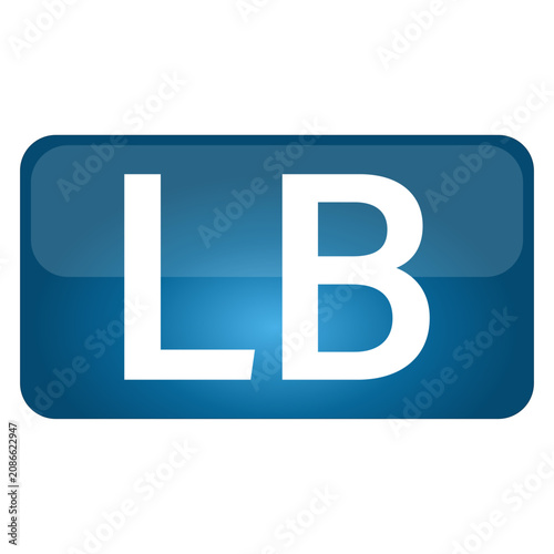 LB white-Vector