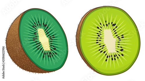 Canvastavla Vector illustration of a kiwi fruit cut in half showing green flesh
